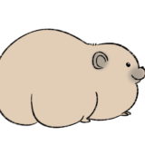 【ショートアニメ】今日のバインバイン丸